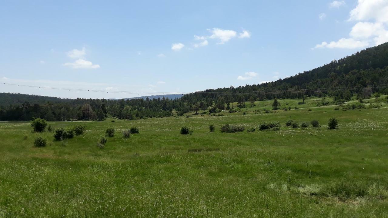 Casa Aldea Βίλα Griegos Εξωτερικό φωτογραφία